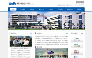 深圳翰宇药业股份网站建设