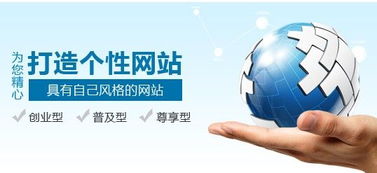 龙岗网站建设 流量多样化才能让网站更加健全