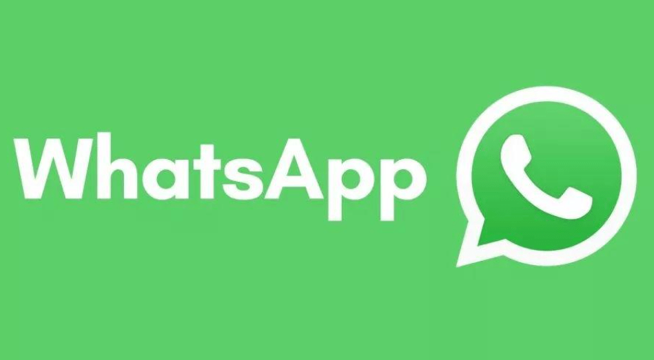 WhatsApp群组管理策略揭秘，提升团队沟通效率的秘诀之道