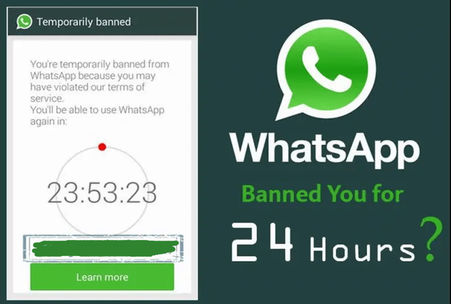 WhatsApp网页版界面革新深度评测，视觉与交互的全面升级解析